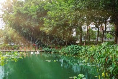 Bán gấp căn hộ cao cấp 2pn diamond brilliant celadon city view nội khu