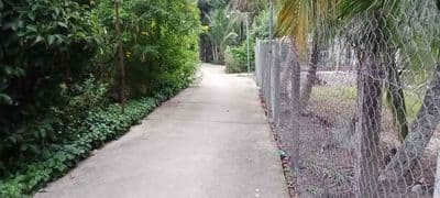 Chính Chủ Bán Đất An Sơn 32 Diện Tích 500m2 Thổ Cư 100m2 Giá 4,6 tỷ