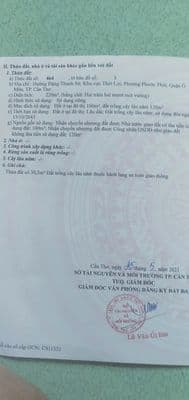 Cho thuê mặt bằng đất trống
