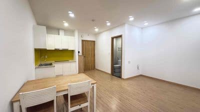 Căn Hộ 1PN 48m2 Full NT Saigonhomes - Bình Tân