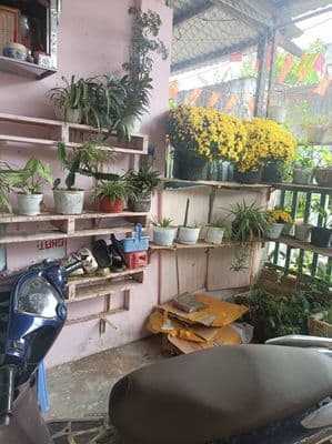 Lô góc 114m² – 2 nhà c4 cho thuê – có dòng tiền – chỉ 2,95 tỷ