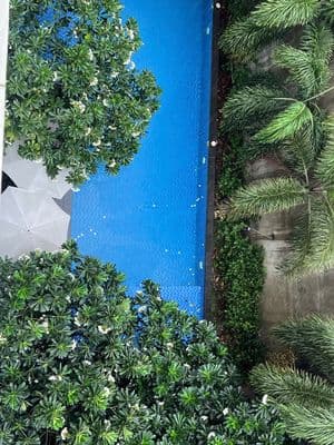Căn hộ dịch vụ gò vấp gym & pool