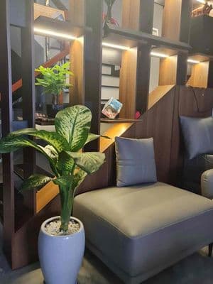 041 cho thuê nhà đẹp mới xây hà huy giáp