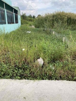 Đất cần giuộc – 80m² full thổ cư – giá 950 triệu