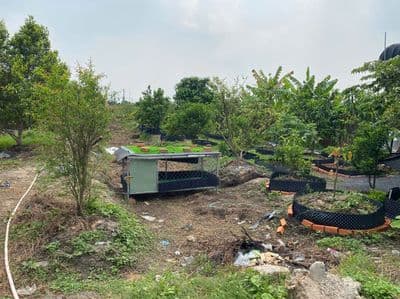 Cần vốn – bán gấp mảnh 1100m² gần đường dương công khi, xuân thới!