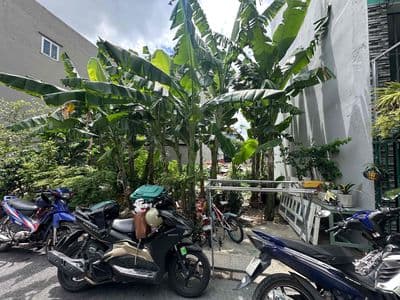85m2 đất ngang 5m–đường nhựa 6m–an phú đông giá 4.3 tỷ