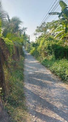 616m² ngang 15m hiếm gần ql1a