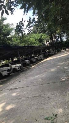 cần bán