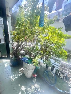 Nhà 5 tầng điện biên phủ gần vòng xoay lý thái tổ