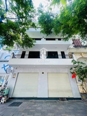 Ngang 9m nguyễn văn thủ, quận 1 – nhà 4 tầng, có thang máy!