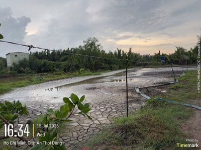 Đất 1000 m² – đường ô tô vào tận nơi – an thới đông