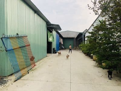 Cho thuê nhà xưởng đường Bàu Trâm, Củ Chi