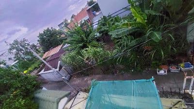 Biệt Thự Sân Vườn APD 09 - Vườn Lài ( 11x30 ) - Mặt Tiền Rạch Thông