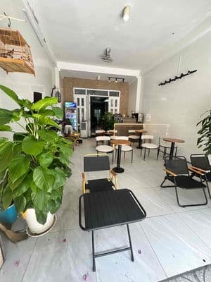 Thuận theo thời thế giảm sâu cực mạnh