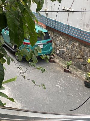 Cho thuê nhà nguyên căn