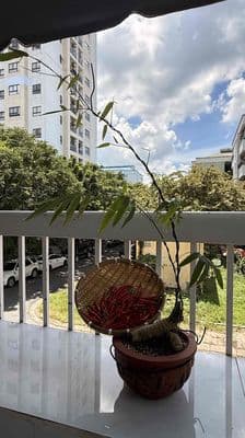 căn góc sát bên công viên an sương-tặng nội thất