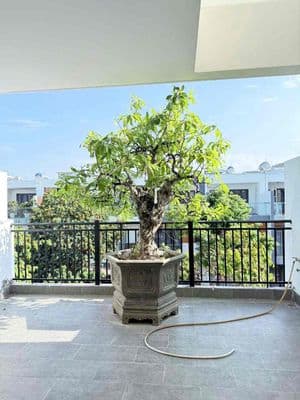 Bán Nhà KĐT Kỹ Gia Gói 8 Vĩnh Thái Nha Trang