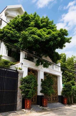 Gấp bán –biệt thự gò dầu – ngang 7m – dt 168,8m²