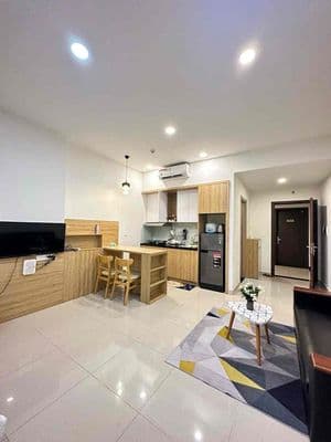 Cho thuê căn hộ Sunrise City View Q7 1pn full y hình 12tr