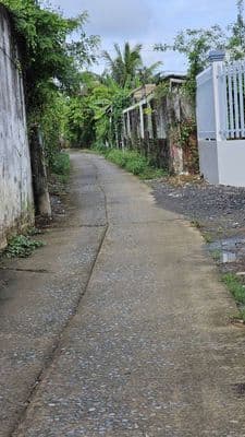 Cần Bán Gấp Căn Nhà Cấp 4