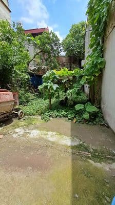 Bán đất Phúc Lợi 52m² hơn 4 tỷ, gần ô tô, chợ, trường học