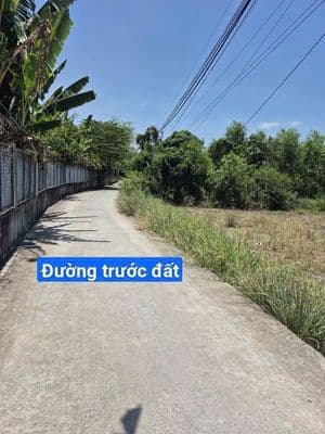 Bán đất 984m2 xã Qui Đức, Bình Chánh, TP.HCM
