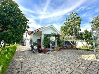 Bán biệt thự vườn SHR tại Bình Mỹ, TP.HCM (Củ Chi cũ)