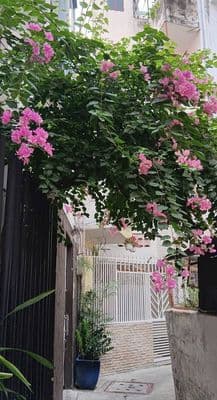 Bán nhà 5 tầng Trần Quang Diệu, 5.5x7m, 8.8 tỷ