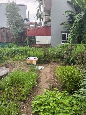 Bán đất Đa Tốn -Gia Lâm 50m2 4 tỷ ngõ ô tô tránh