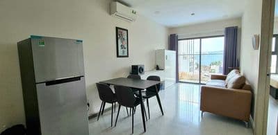 Chính chủ cho thuê căn hộ 1 phòng quận 6 c/c an phú nhà mới