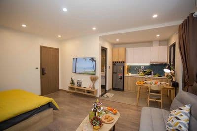 Cho thuê căn hộ full nội thất