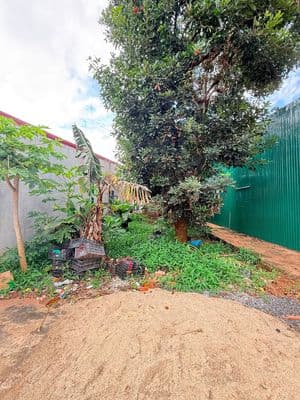 Đất TC mặt tiền KD Trần Quý Cáp ngay khúc cua Mai Thị Lựu 6x25m 5,2 tỷ