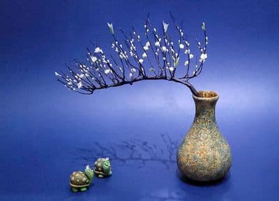 Cho thuê nhà phường tân quý 4 x 13 m đúc lửng: 2 pn. hẻm xe