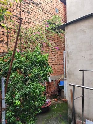Hóc môn – trung chánh | 1 xẹt ngắn đồng tâm