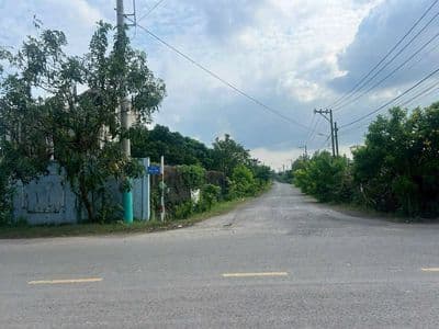 Phường Tân An Hội mặt tiền đường Lê Thị Vui 120m2 giá ngộp 1ty050