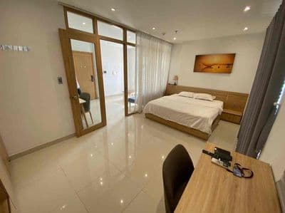 Cho thuê căn hộ 1 phòng ngủ hiện đại tại trung tâm thành phố