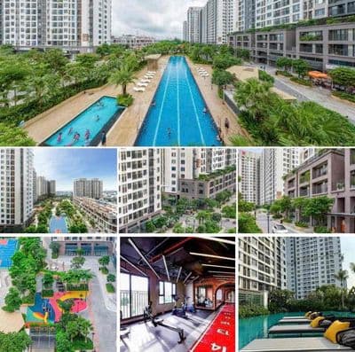 cho thuê căn hộ picity 49m (1pn 1wc), nhà mới, view đẹp