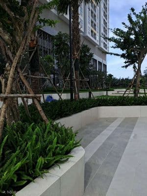 Cho thuê căn hộ Q7 Riverside 2 PN, 2WCC