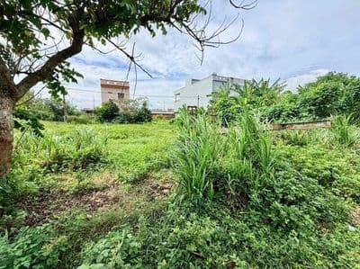 Bán đất mặt tiền đường nhựa số 10 - KDC Long Thạnh Hưng, Chợ Gạo, TG