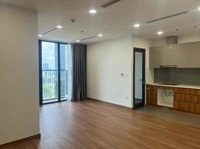 Cho thuê căn hộ Eco Green,Nguyễn Văn Linh,Quận 7 giá 15 triệu