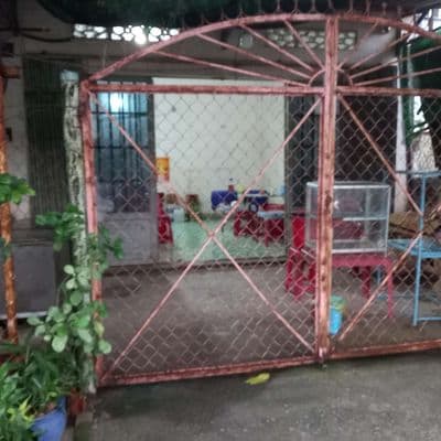 cho thuê nhà nguyên căn
