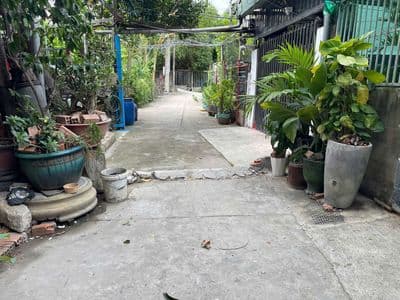 Bán đất tặng nhà C4 cũ Bình Nhâm giáp Lái Thiêu. Gần sông Sài Gòn