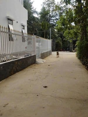 đất An Thạnh 10. gần nhà hàng Vườn Xưa. dân cư đông đúc. mát mẻ