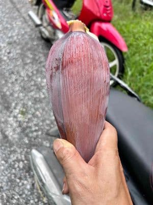 bán biệt thự Lideco Hoài Đức Hà Nôi