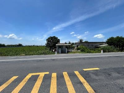 Đất thổ cư 1000 m2 mặt tiền đường ĐT 818 Tân Thành Thủ Thừa Long An cũ