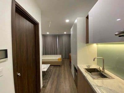 Cho thuê căn hộ studio the pegasuite 2 – quận 8 full nt ( ban công)