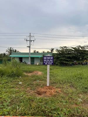 Cho thuê nền đất mặt tiền Đường D7, Phường Trung An, Đồng Tháp