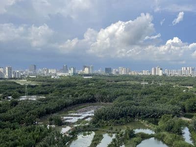 Dragon Hill 2 | 71,5m (2PN - 2WC) | Đầy đủ nội thất. View Phú Mỹ Hưng
