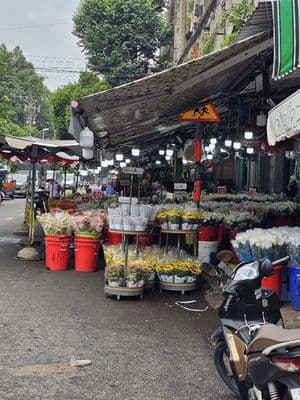Shophouse ngay trong chợ hoa đầm sen-đường nhựa có lề-kinh doanh hoa