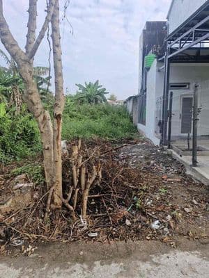 Bán Đất Nền Ngay Chợ Bình Chánh